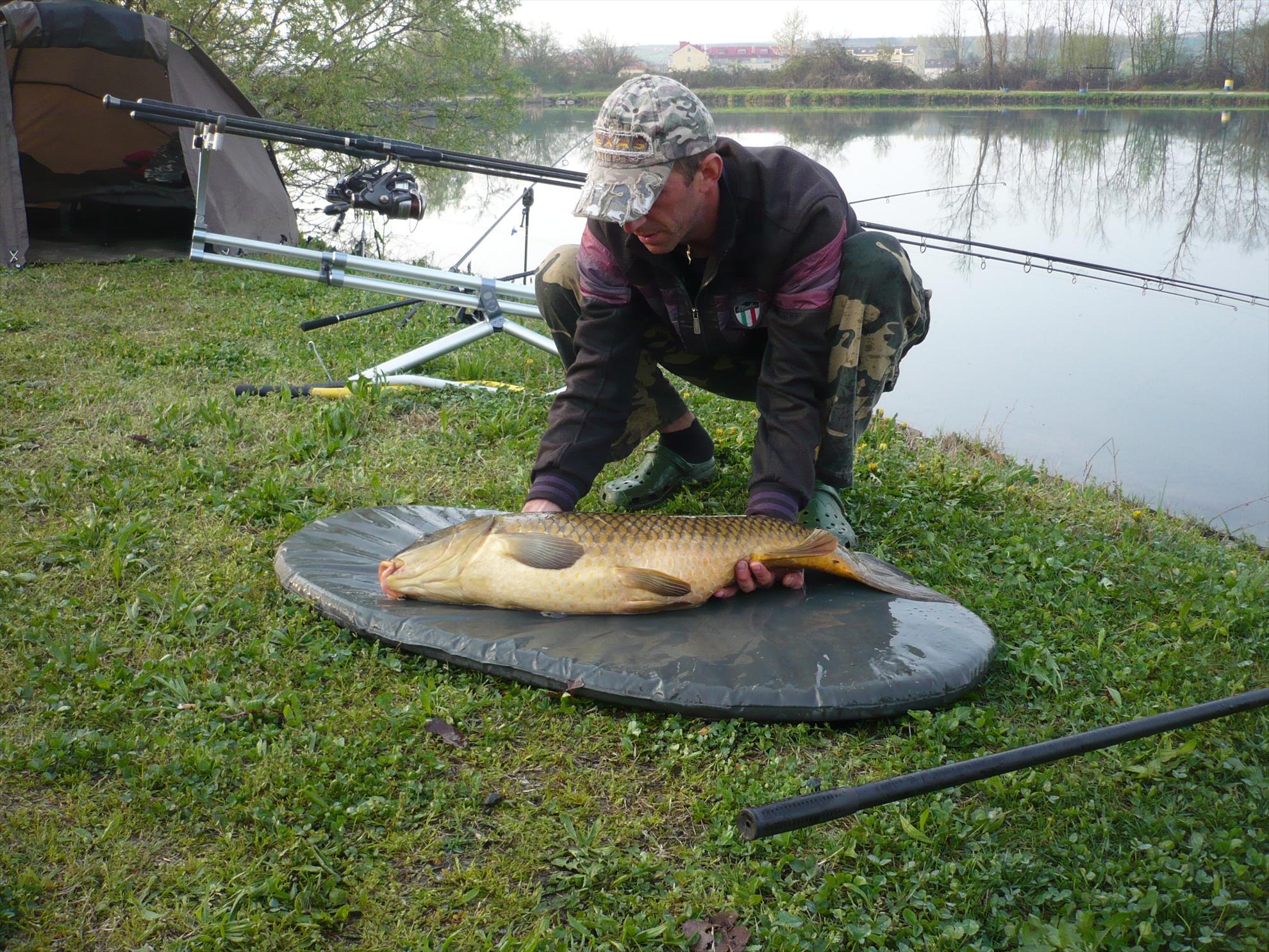 florian tanasa - p10300581.JPG